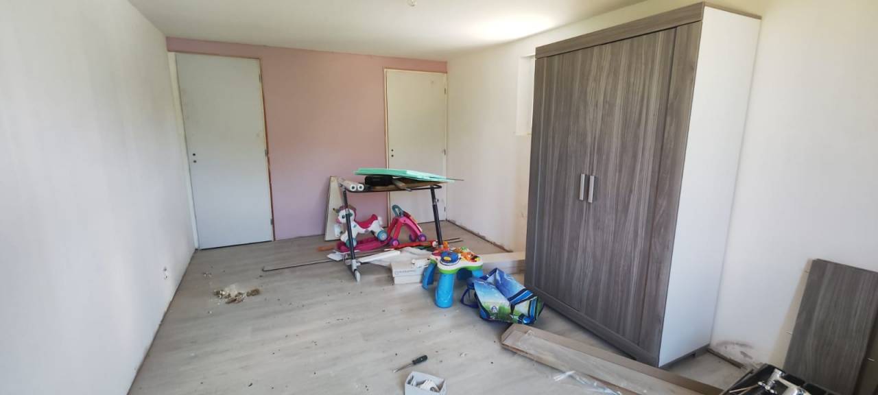 Stoeterij Koop Côte d'Or