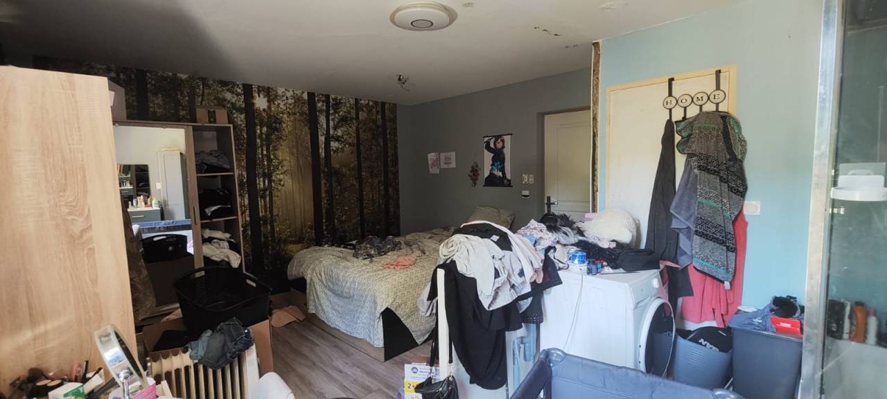 Stoeterij Koop Côte d'Or