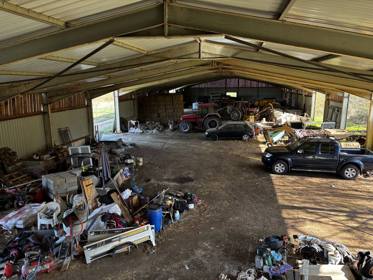 Stoeterij Koop Côte d'Or