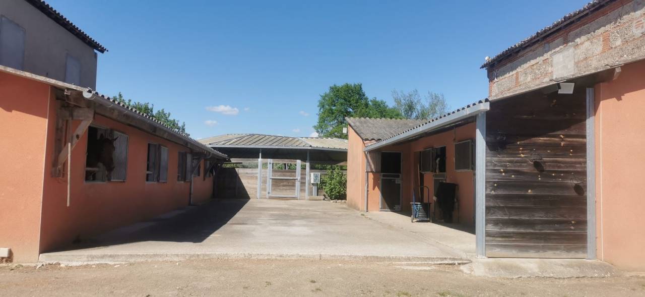 Hippisch vastgoed Koop Lot-et-Garonne