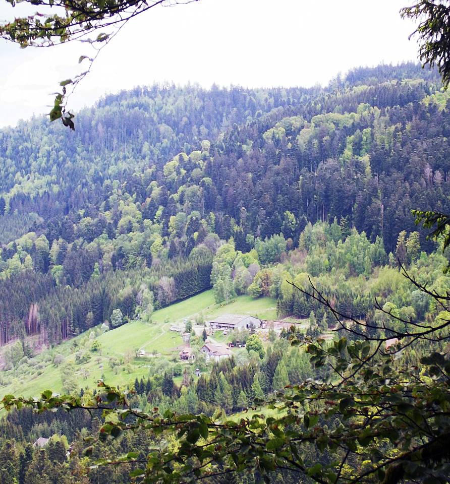 Andere - Ander contract Andere - Vosges Frankrijk