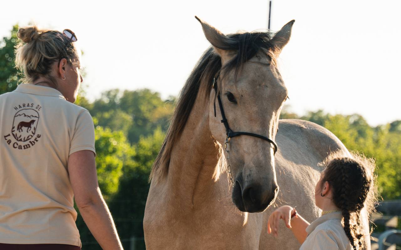 Veulen (vr) PRE Puur Ras Spaans Te koop 2023 Isabel