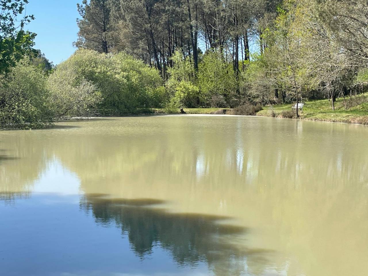 Hippisch toerisme vastgoed Koop Dordogne