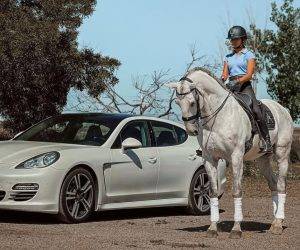 Ruin Lusitano Te koop 2013 Schimmel