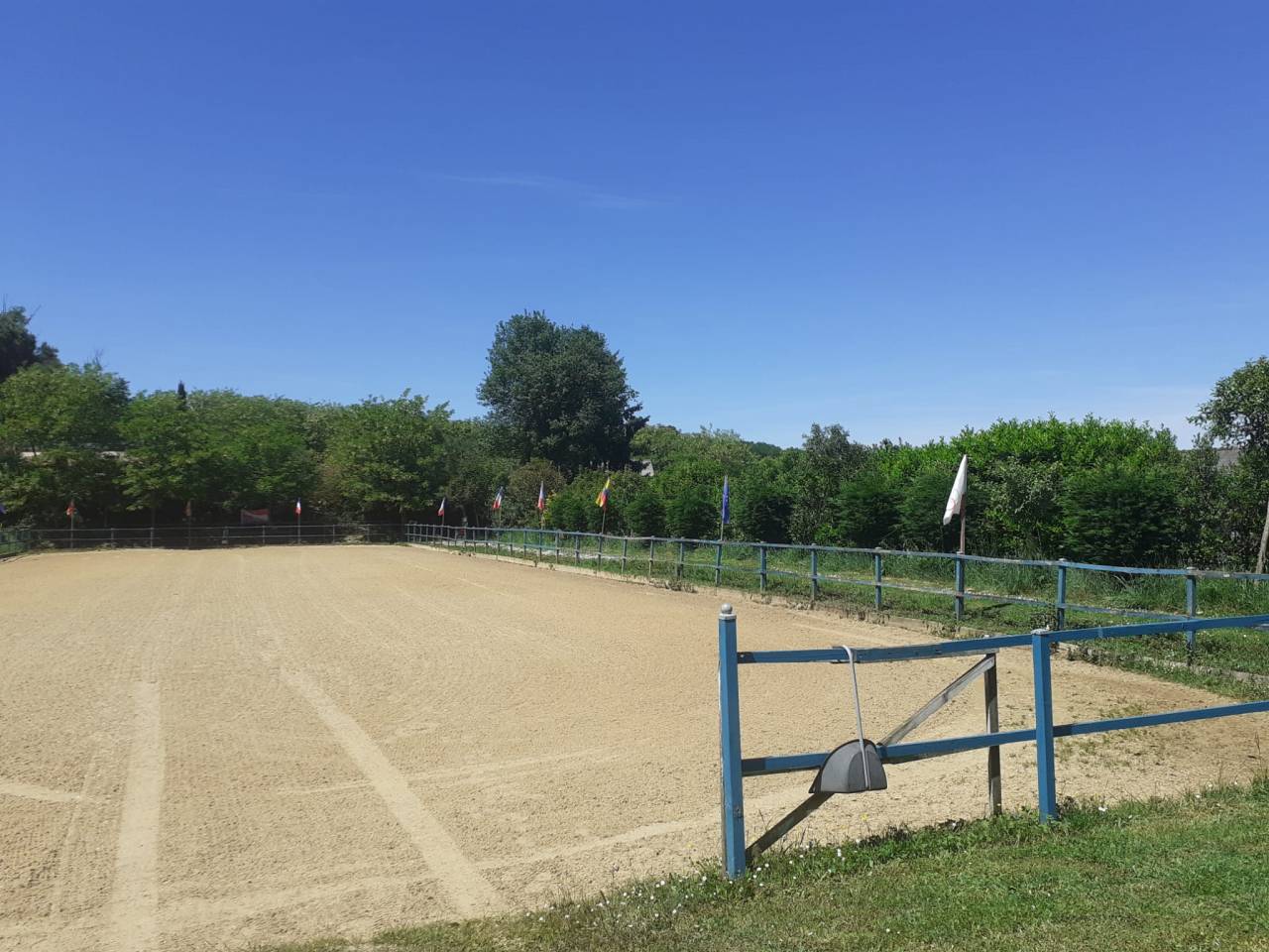 Hippisch vastgoed Koop Maine-et-Loire