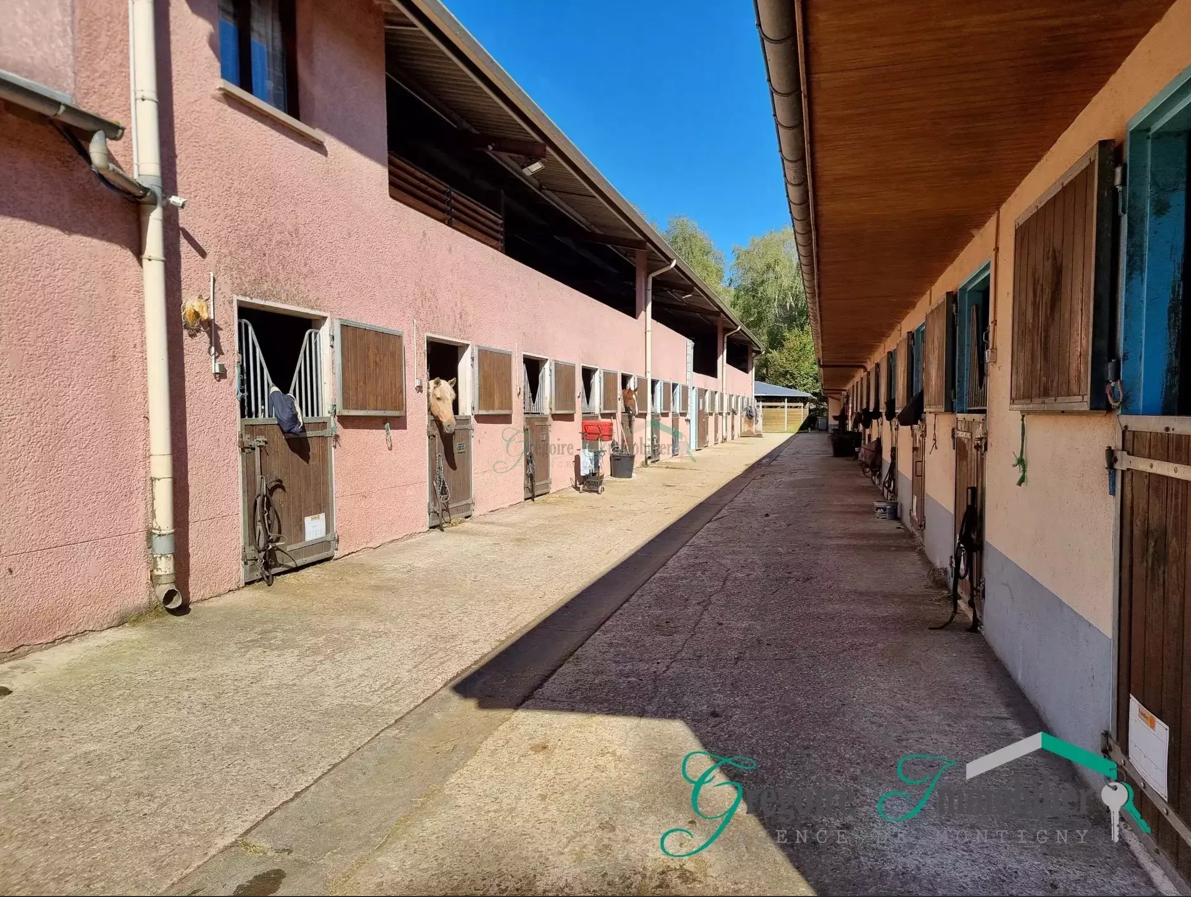 Hippisch vastgoed Koop Seine-et-Marne