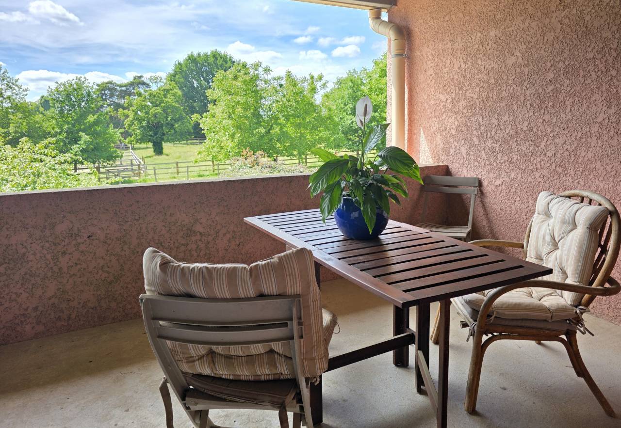 Hippisch vastgoed Koop Seine-et-Marne