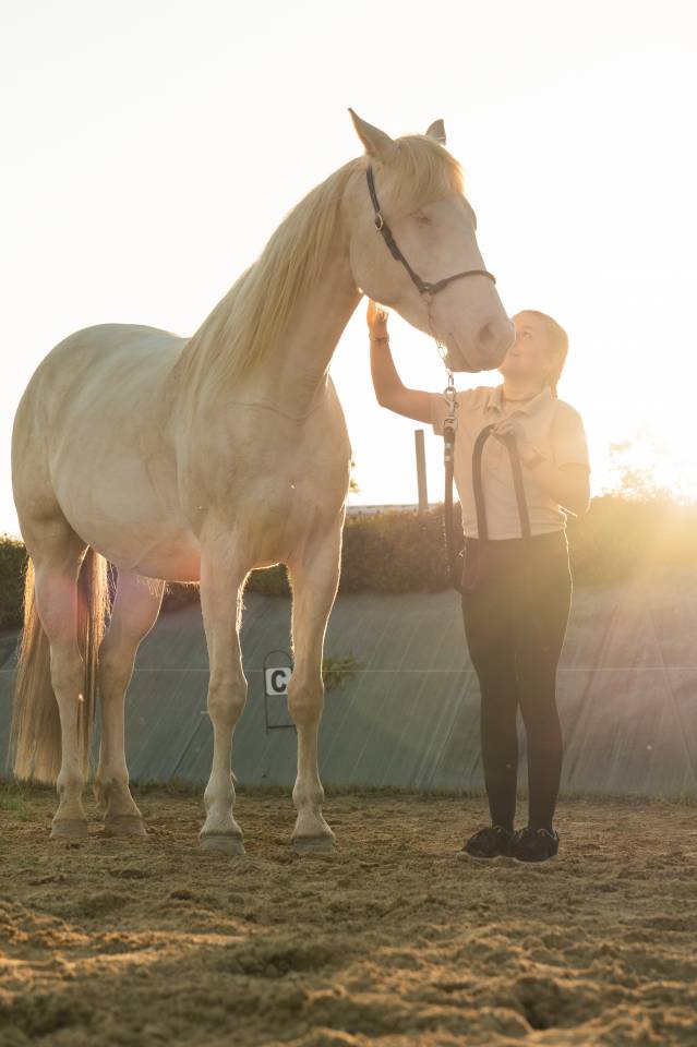 Merrie Creme Te koop 2021 Crème