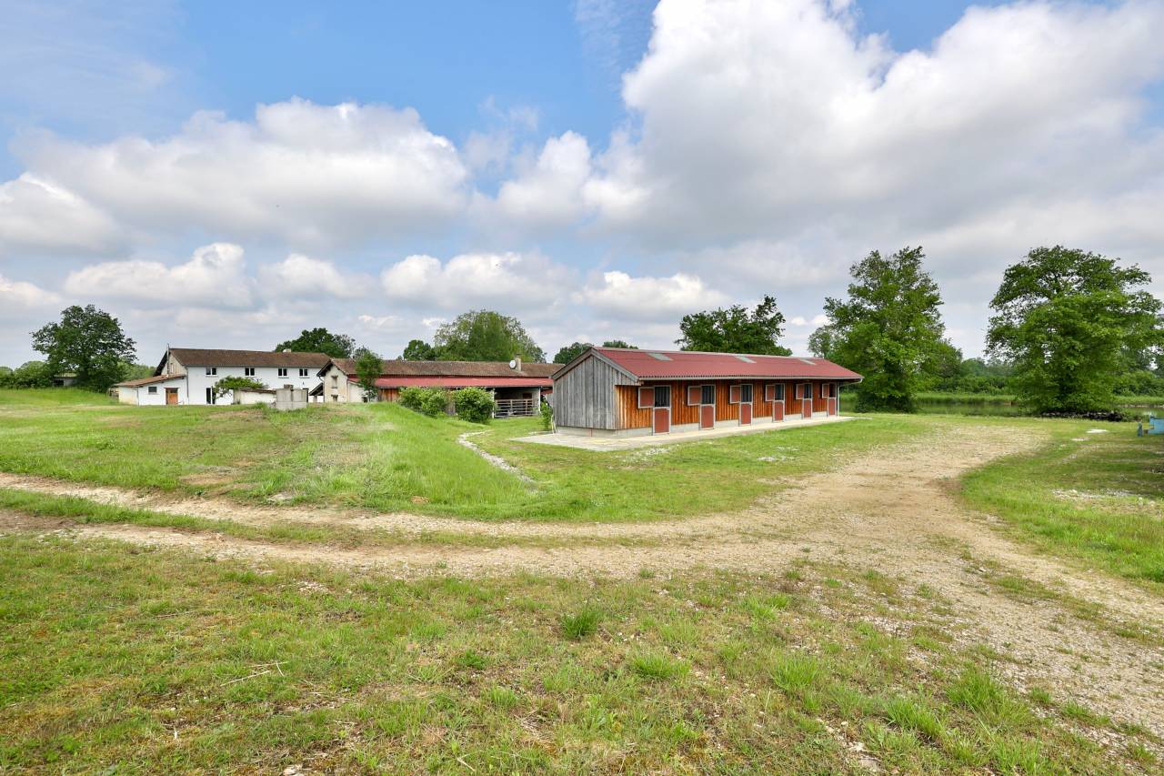 Mooi hippisch vastgoed Koop Ain