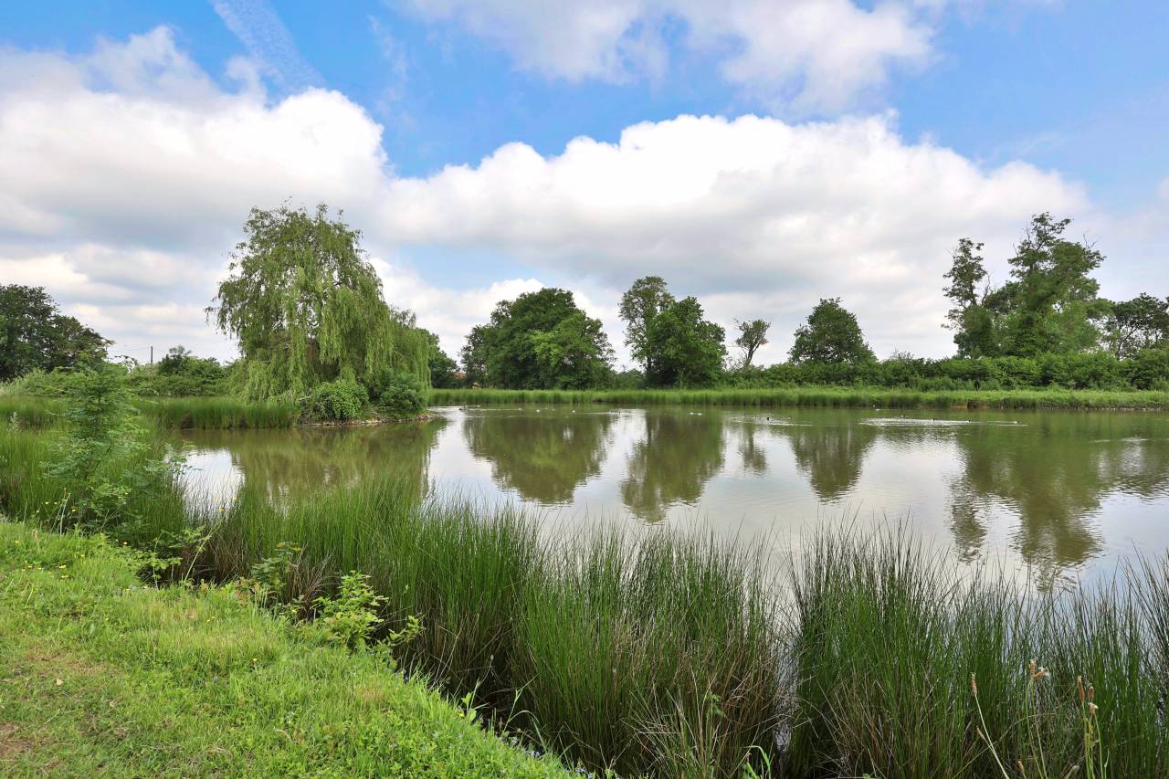 Mooi hippisch vastgoed Koop Ain