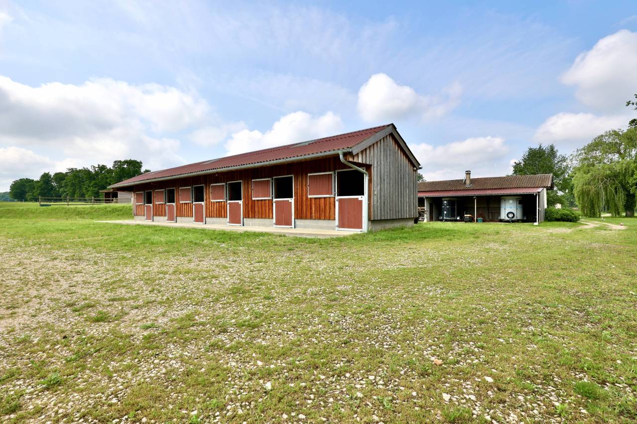 Mooi hippisch vastgoed Koop Ain