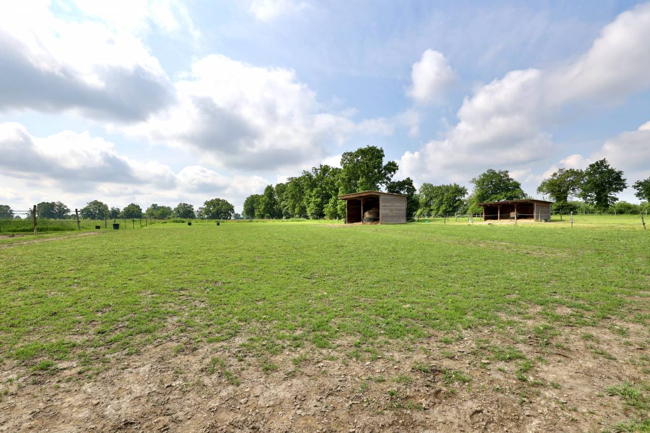 Mooi hippisch vastgoed Koop Ain