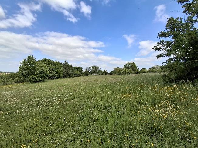 Hippisch vastgoed Koop Yonne