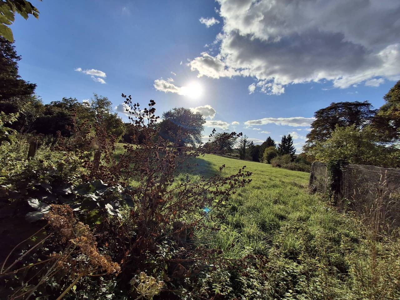 Hippisch vastgoed Koop Yonne