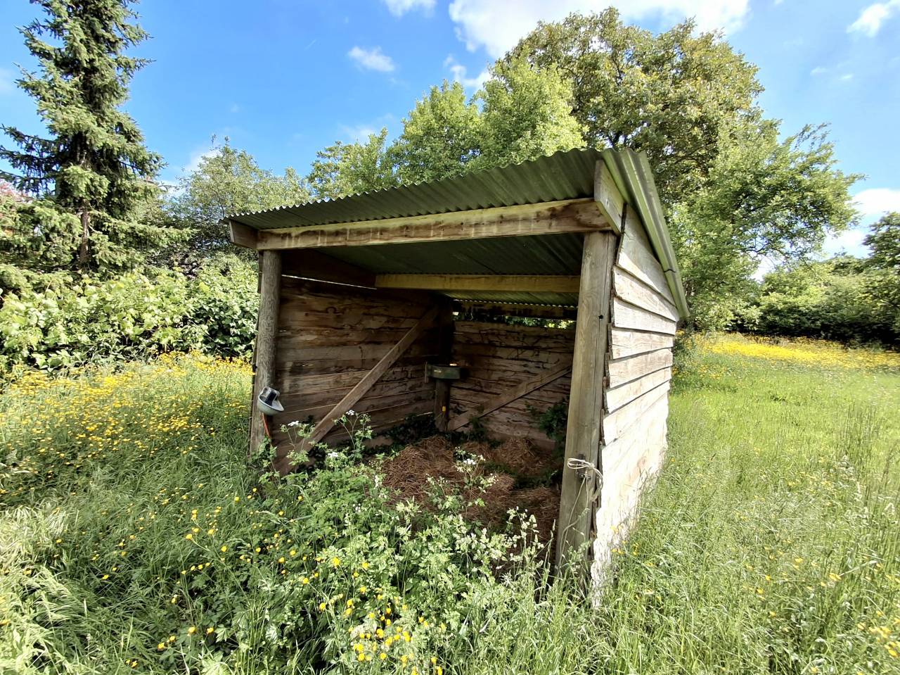 Hippisch vastgoed Koop Yonne