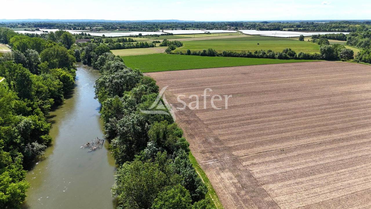 Landbouw bedrijf Koop Tarn-et-Garonne