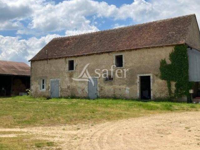 Hippisch vastgoed Koop Cher