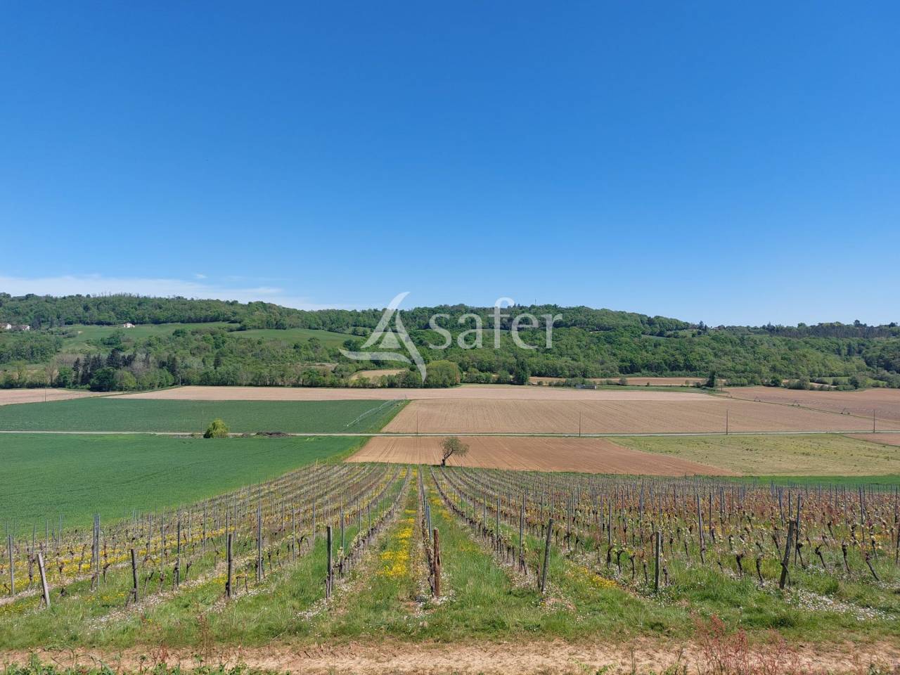 Wijn exploitatie Koop Pyrénées-Atlantiques