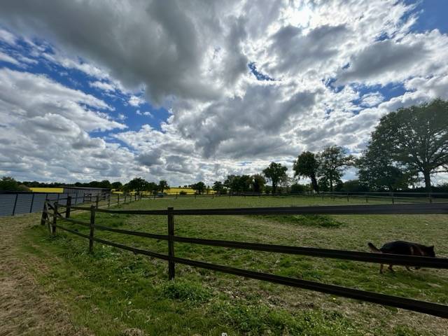 Competitie stal Koop Mayenne