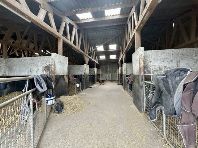 Competitie stal Koop Mayenne