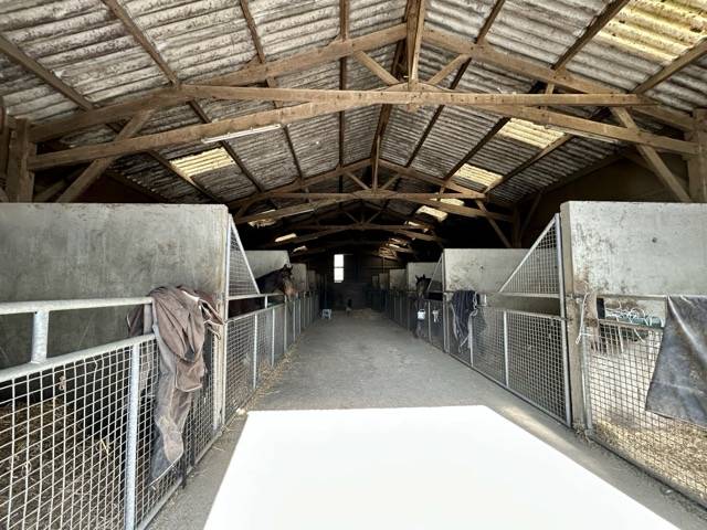 Competitie stal Koop Mayenne