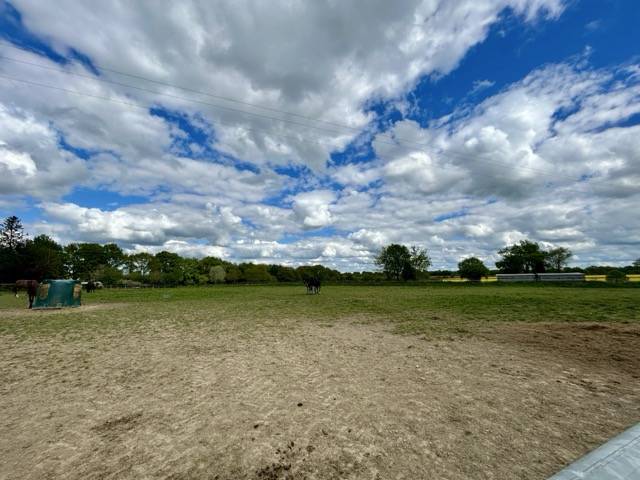 Competitie stal Koop Mayenne