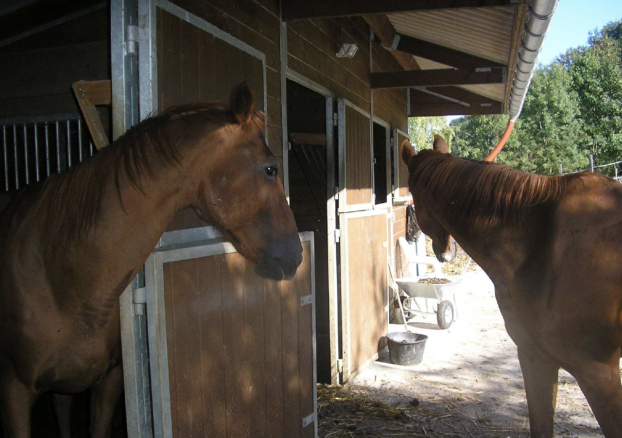 Hippisch vastgoed Koop Isère