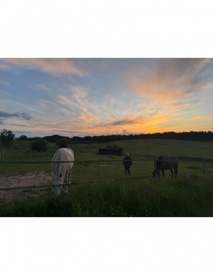 Mooi hippisch vastgoed Koop Haute-Vienne