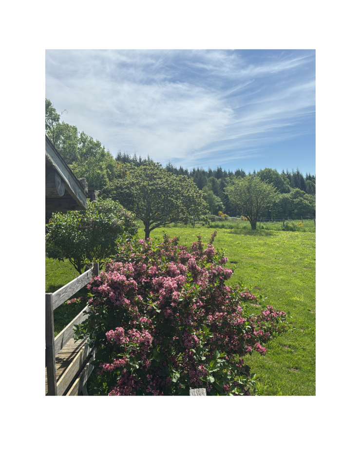 Mooi hippisch vastgoed Koop Haute-Vienne