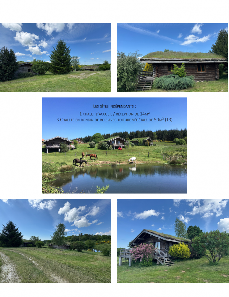 Mooi hippisch vastgoed Koop Haute-Vienne