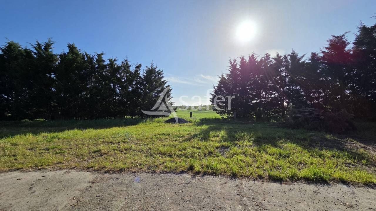 Ander plattelands vastgoed Koop Loire-Atlantique