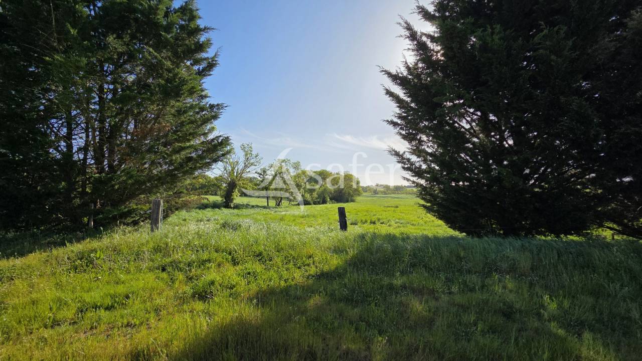 Ander plattelands vastgoed Koop Loire-Atlantique