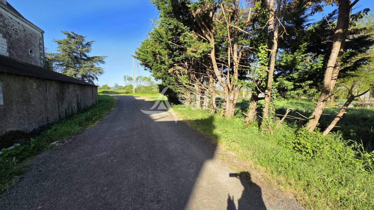 Ander plattelands vastgoed Koop Loire-Atlantique