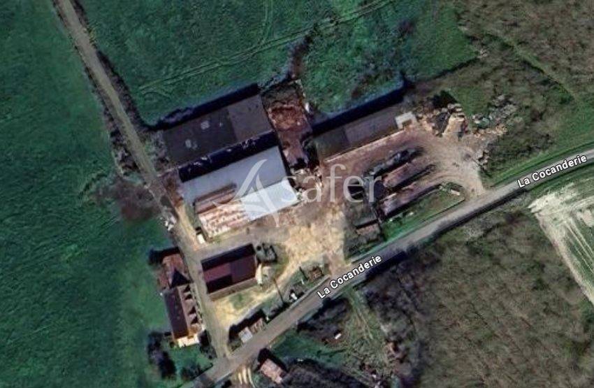 Landbouw bedrijf Koop Indre-et-Loire