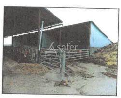 Landbouw bedrijf Koop Indre-et-Loire