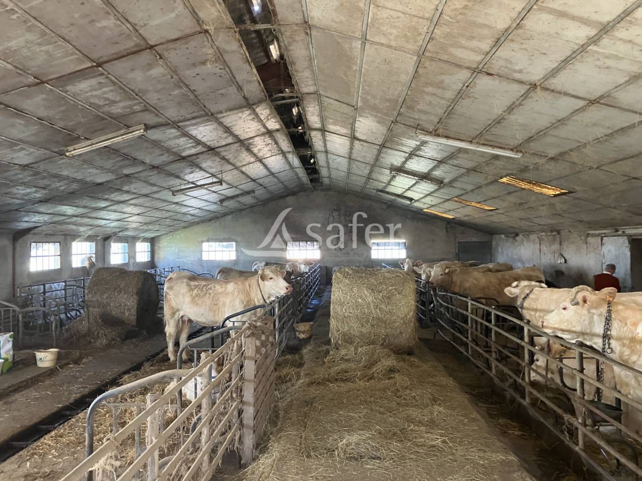 Ander plattelands vastgoed Koop Saône-et-Loire