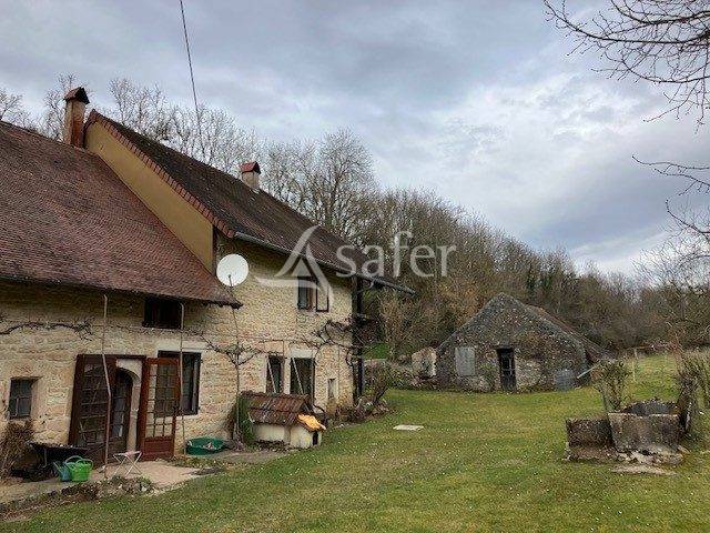 Schapen exploitatie Koop Jura