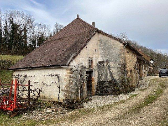 Schapen exploitatie Koop Jura