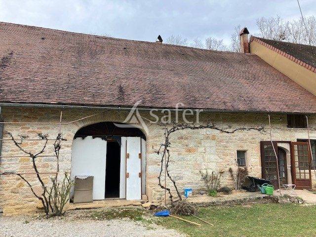 Schapen exploitatie Koop Jura