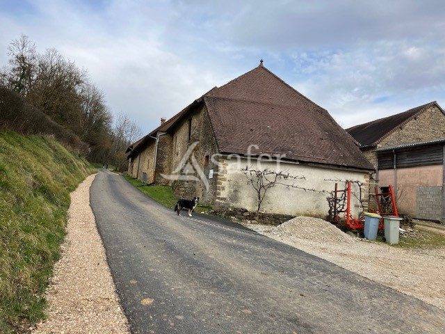 Schapen exploitatie Koop Jura