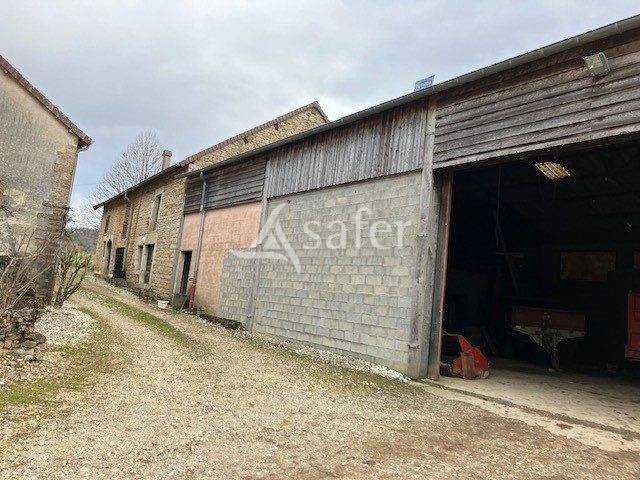 Schapen exploitatie Koop Jura