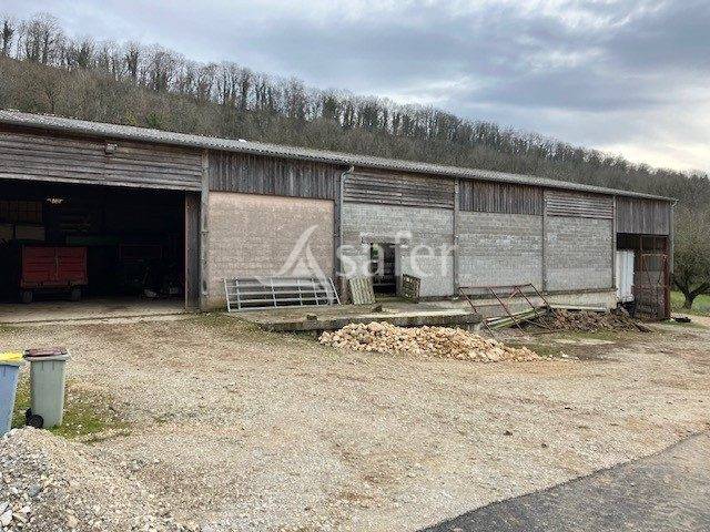 Schapen exploitatie Koop Jura