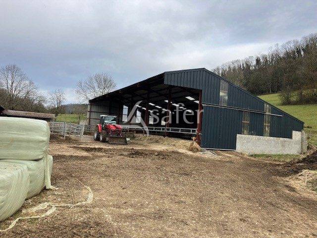 Schapen exploitatie Koop Jura