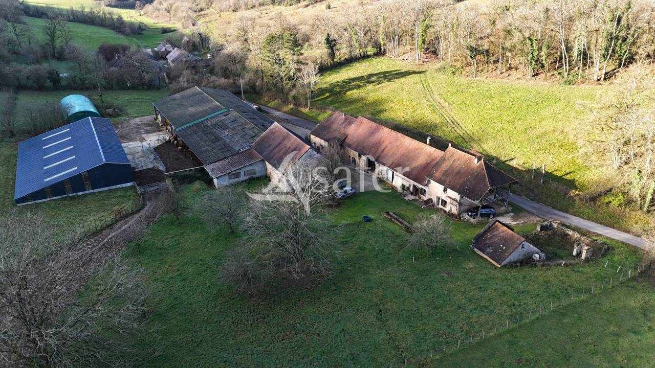 Schapen exploitatie Koop Jura