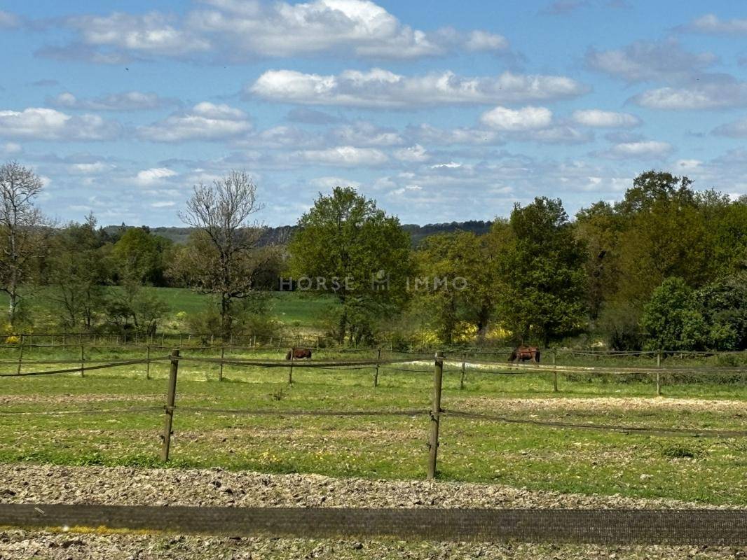 Hippisch vastgoed Koop Ile-et-Vilaine