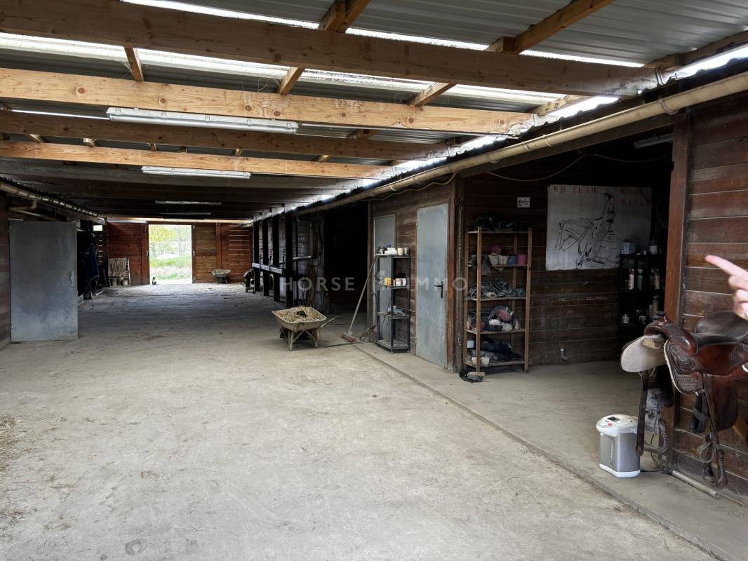 Hippisch vastgoed Koop Ile-et-Vilaine