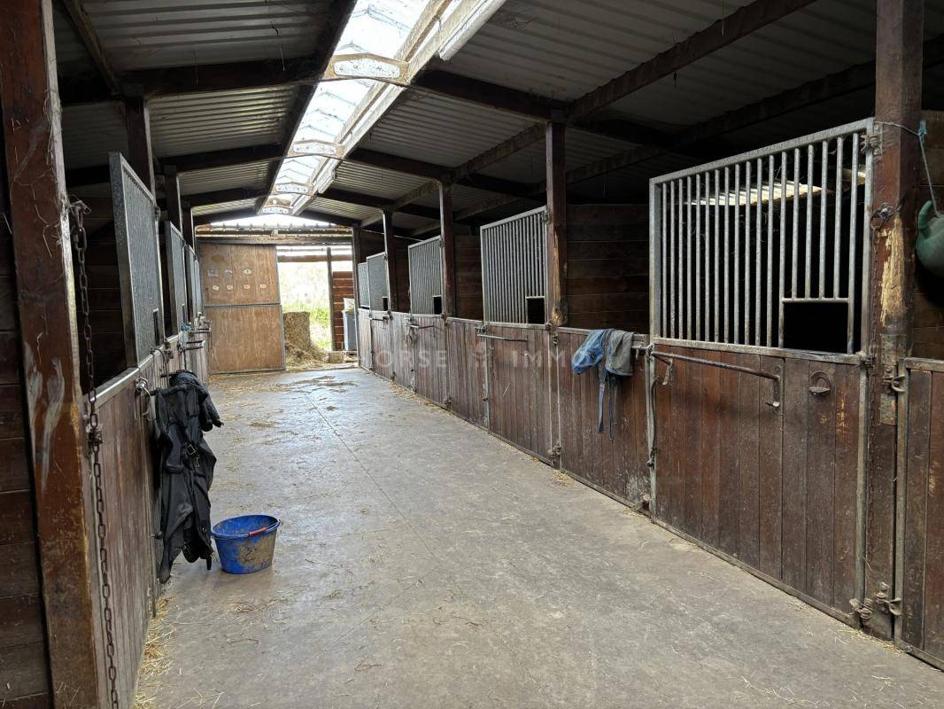 Hippisch vastgoed Koop Ile-et-Vilaine