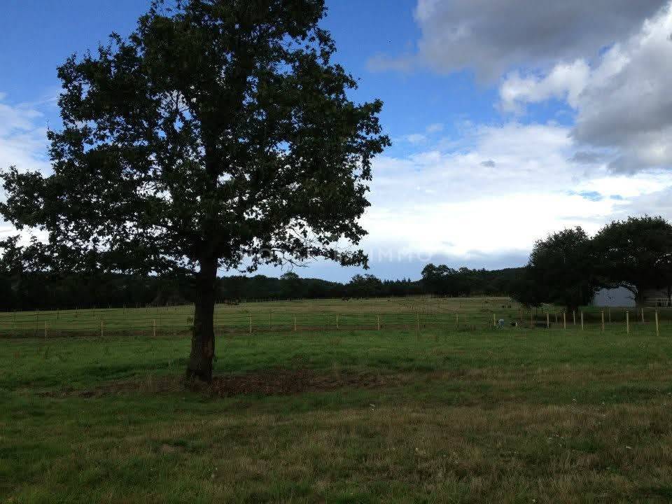 Hippisch vastgoed Koop Ile-et-Vilaine