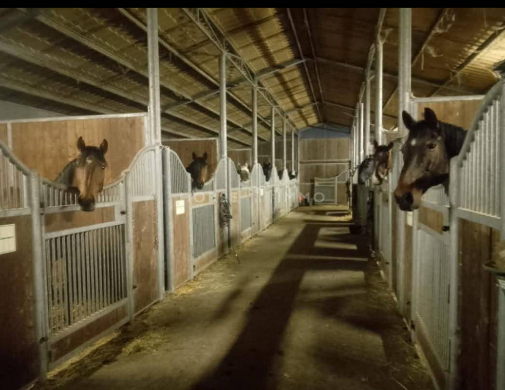 Hippisch vastgoed Koop Vendée