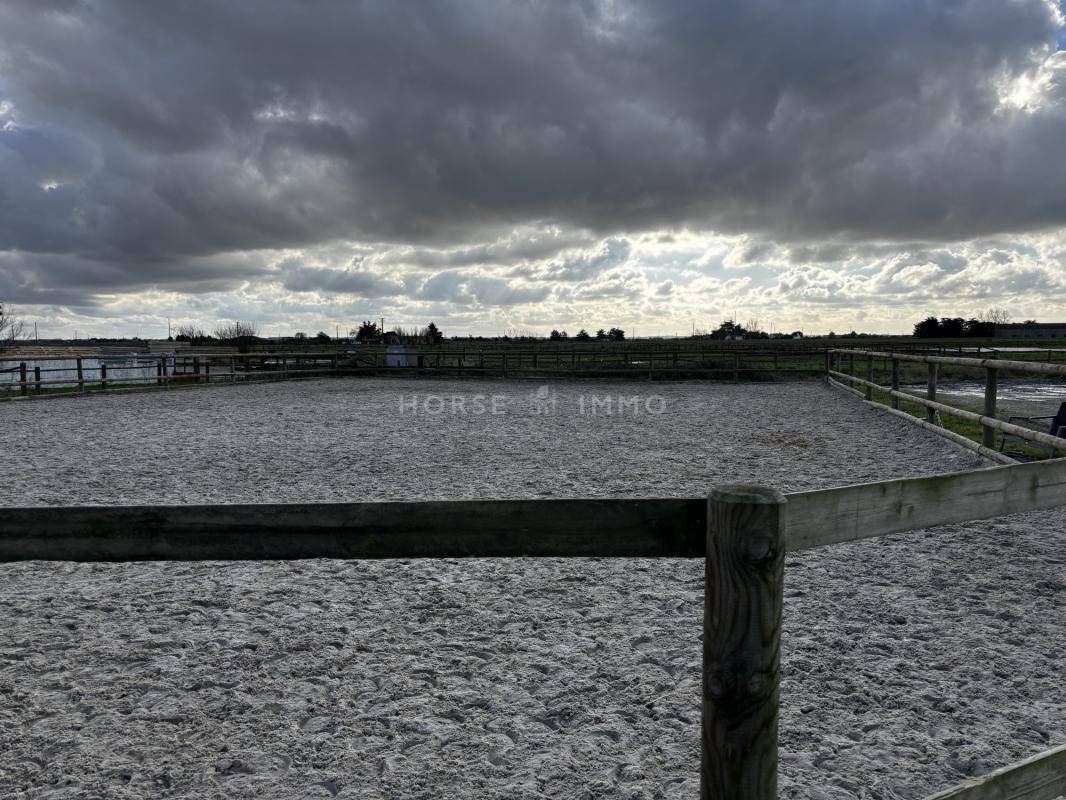 Hippisch vastgoed Koop Vendée